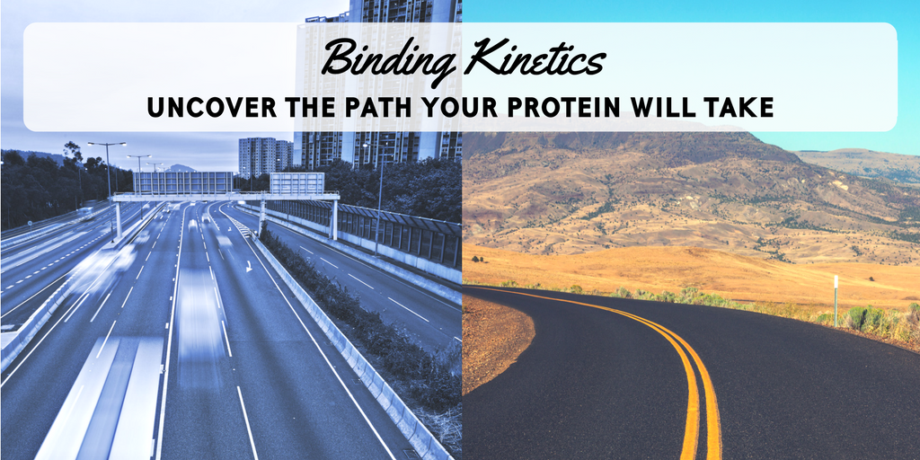 What Binding Kinetics Can Tell You That Affinity Can’t