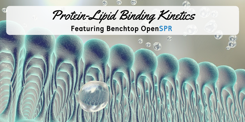 Binding of ProteinLipid Interactions Using Surface Plasmon