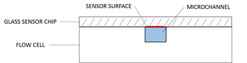 glass sensor chip below for SPR