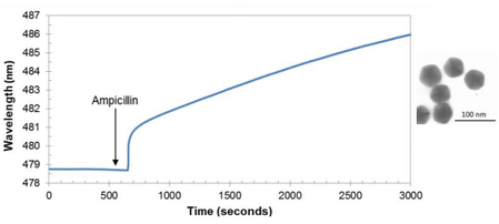 nanoparticles-spr-note