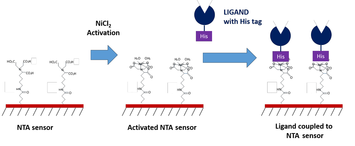 Surface Plasmon Resonance Sensors: A Guide For Scientists