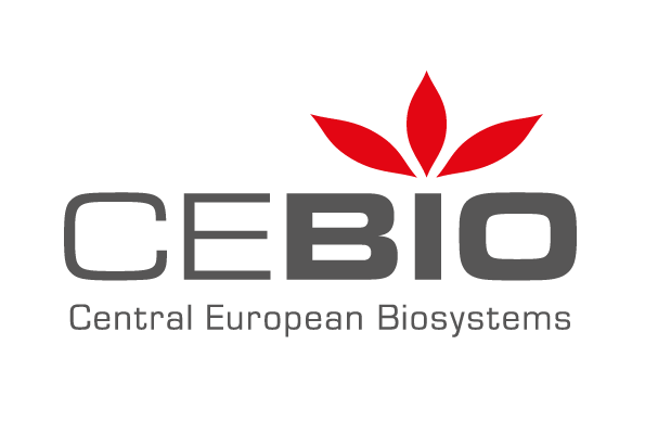 Logo-CEB-II-claim