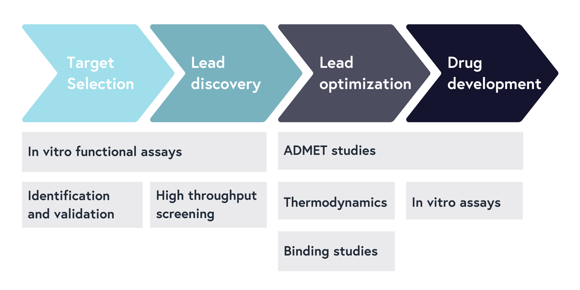 Optimizing Drug Discovery: Surface Plasmon Resonance Techniques