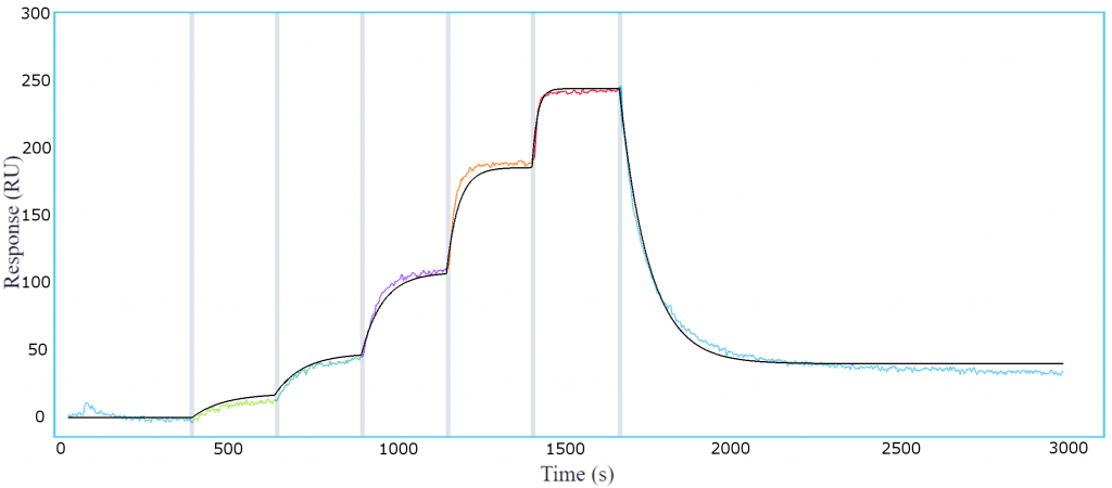 SPR curve of ImmTAC bispecific molecule binding to pHLA