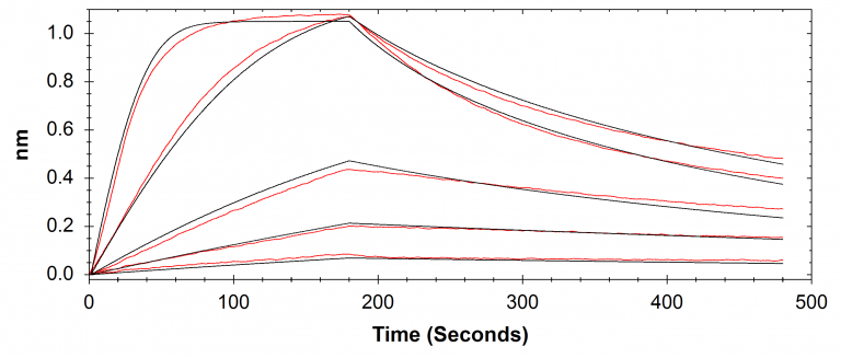 Comparison Study | SPR vs BLI | Fc Receptor-IgG Characterization