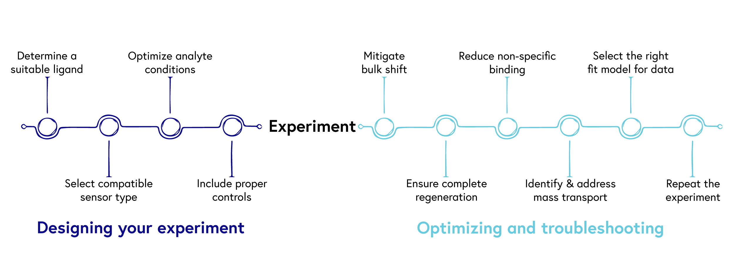 Optimizing Drug Discovery: Surface Plasmon Resonance Techniques