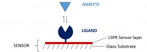 Top 10 tips for high quality SPR data | SPR Guide