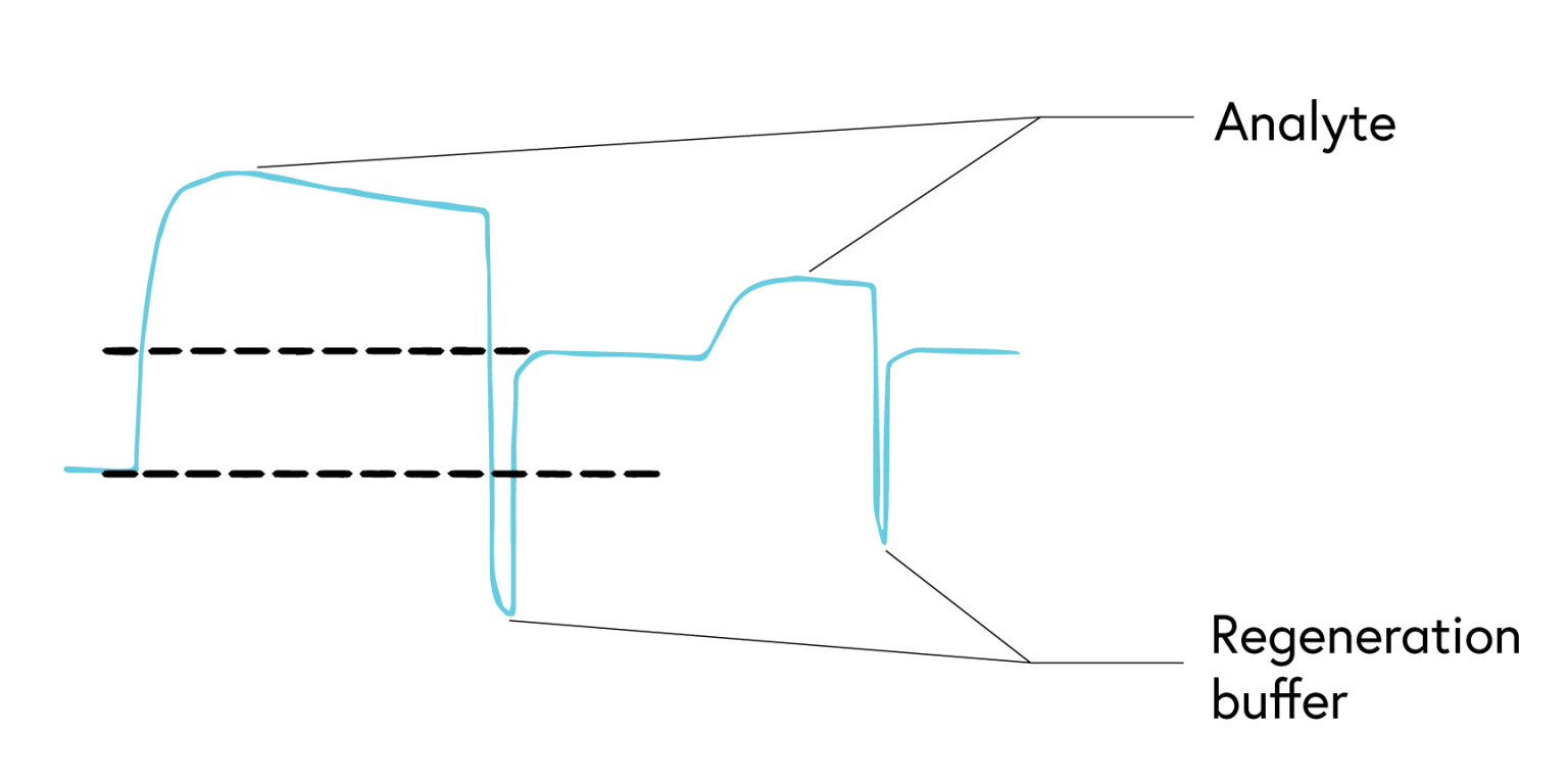 Top 10 tips for high quality SPR data | SPR Guide