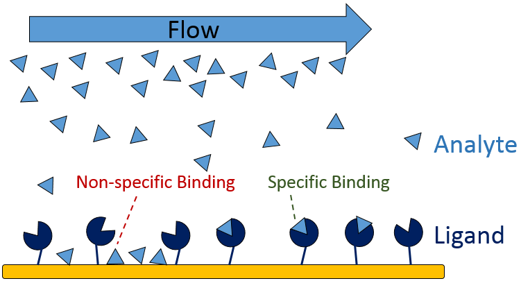 Figure 9 is a diagram showing Figure 9: non-specific and specific binding in an SPR experiment.