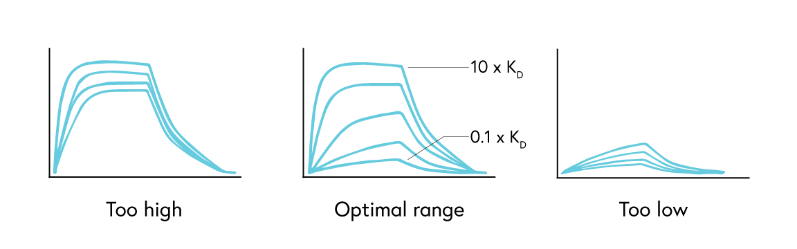 Optimizing Drug Discovery: Surface Plasmon Resonance Techniques