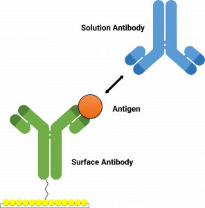 Epitope binning simplified | Alto™ Digital SPR