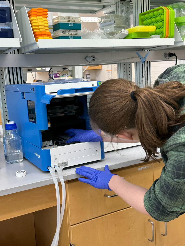 Researcher Eliza working with OpenSPR-XT in the lab. 